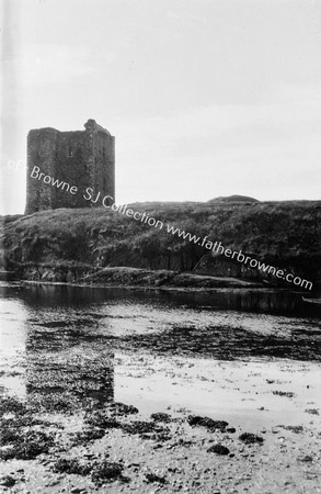 DUNBEACON CASTLE FROM E. MARSH